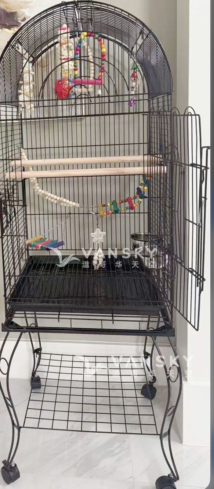 250911161745_Bird 1.jpeg